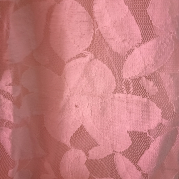 Trulli Womens Cream Short Sleeve Sheer Lace Blouse With Tie Front (Size L) - Picture 5 of 5